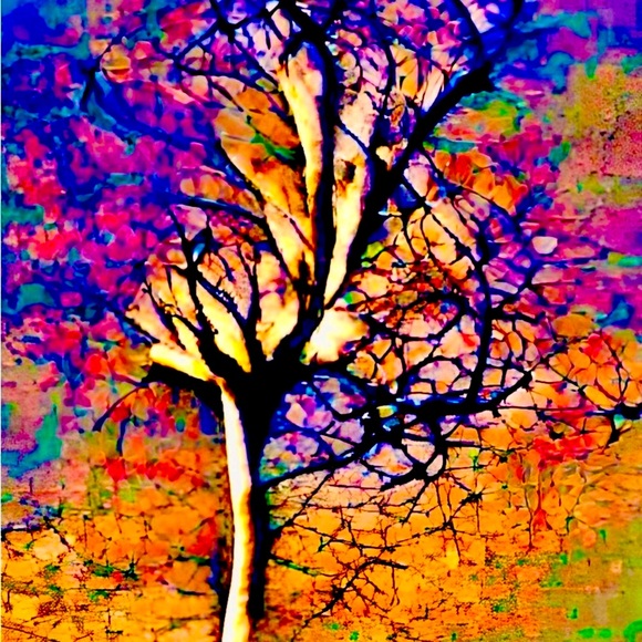 SET OF 8 Original Art Prints Designed from My Own Photography, Signed and Dated - Picture 7 of 8